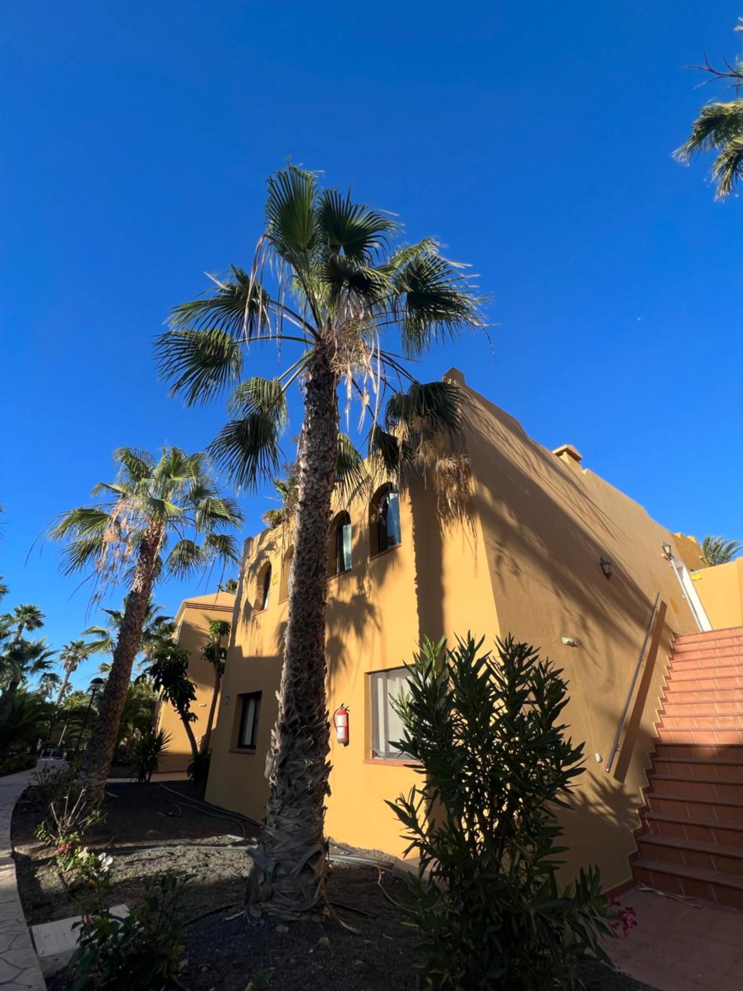 Casa De Leon Apartment Corralejo Exterior photo